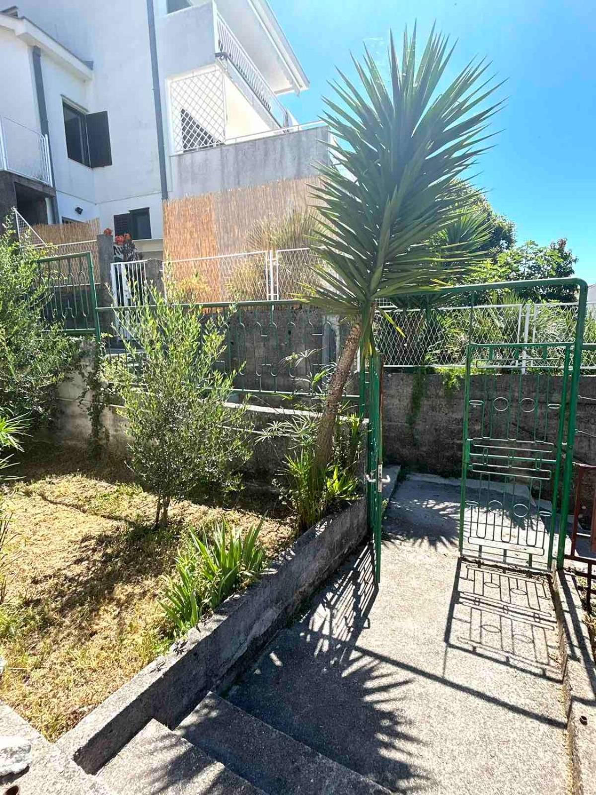 Apartments Maya Herceg Novi Extérieur photo
