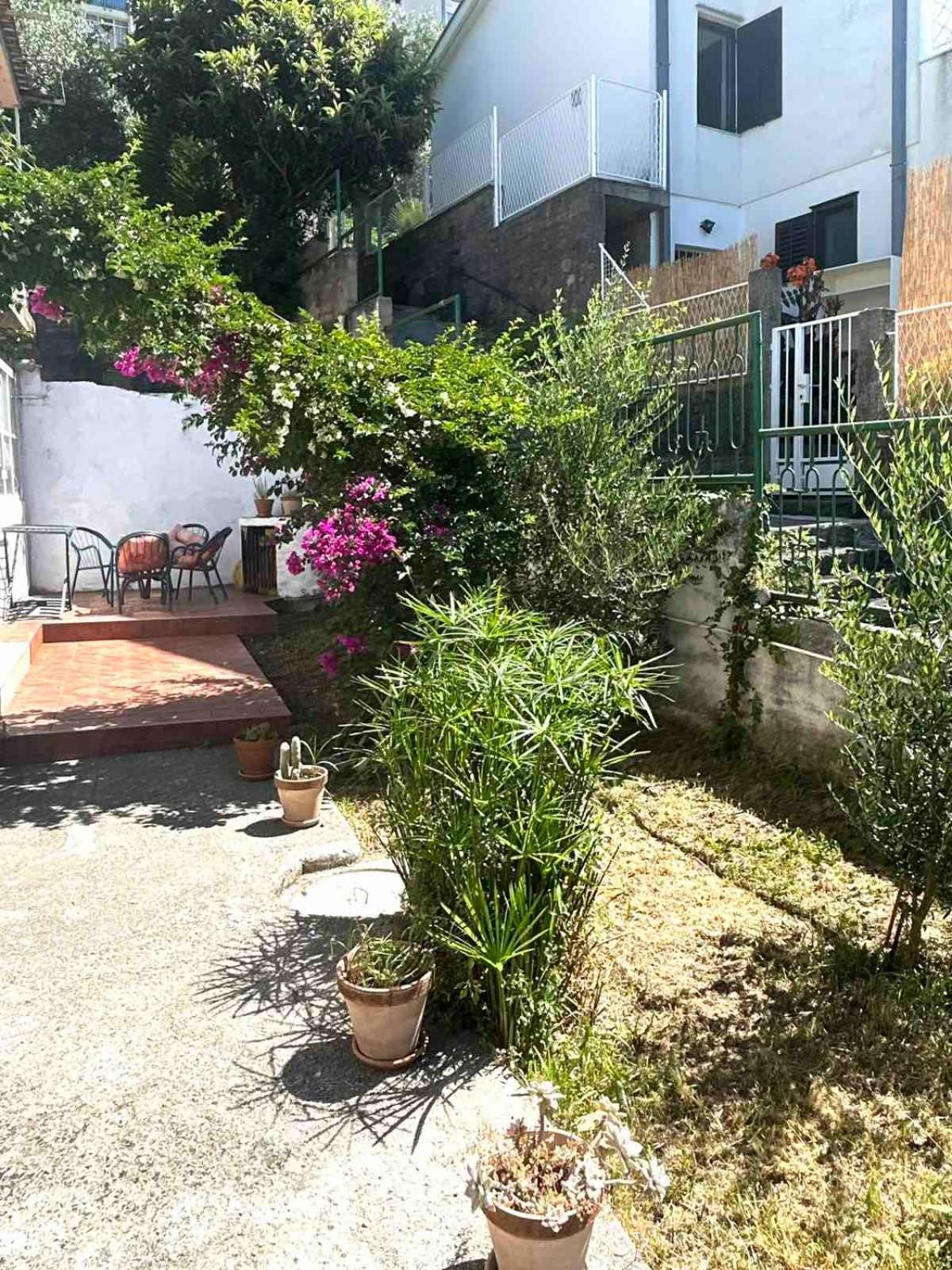 Apartments Maya Herceg Novi Extérieur photo