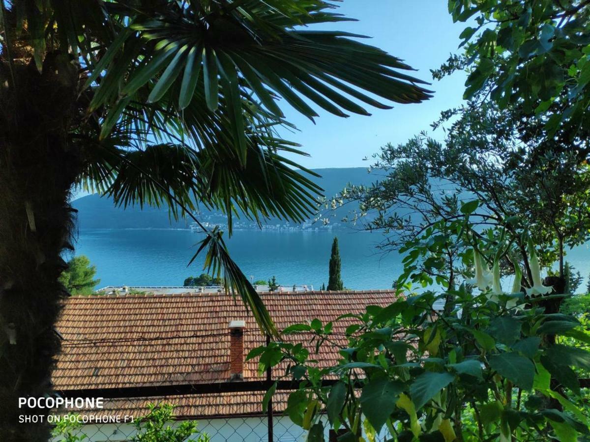 Apartments Maya Herceg Novi Extérieur photo